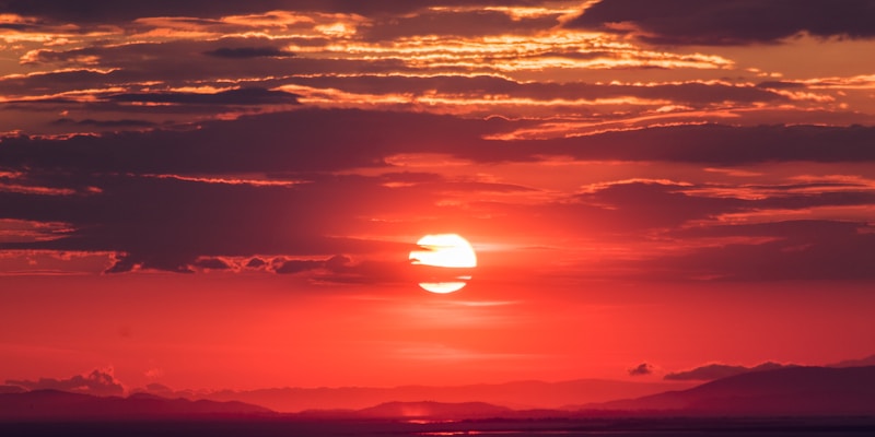 8866体育云端观赛直播画面 - 多赛事同屏直播展示